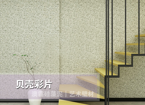 贝壳彩片
